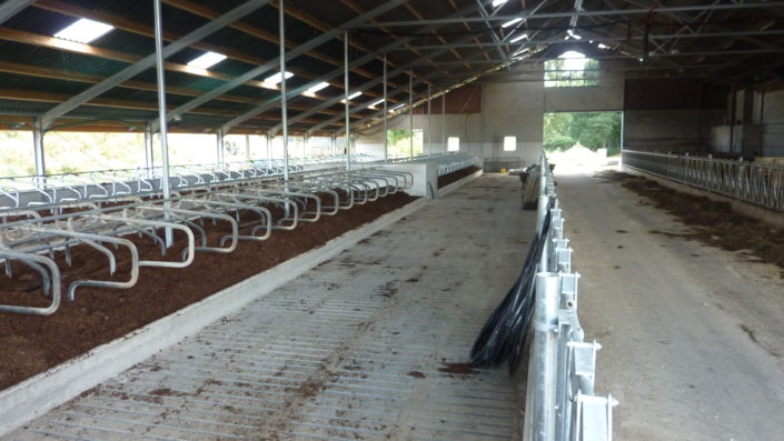Project: nieuwbouw ligboxenstal